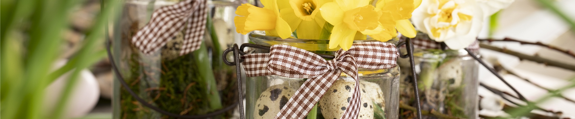 Osterambiente mit Narzissen