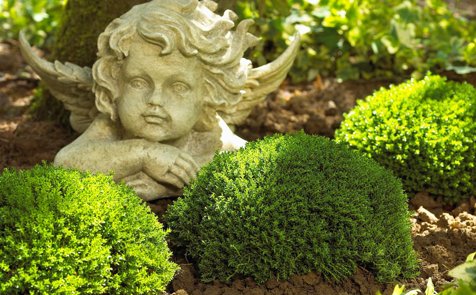 Grabpflege Grabpflege