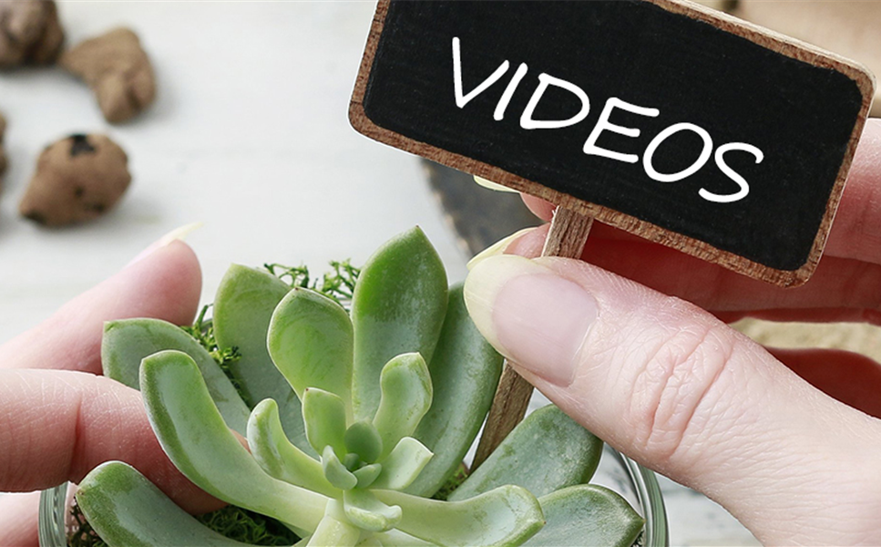 Videos - Alles rund um's Thema Pflanze Videos - Alles rund um's Thema Pflanze