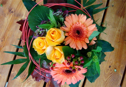 Schnittblumen Schnittblumen