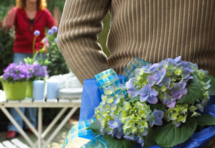 Blumengrüße versenden Blumengrüße versenden