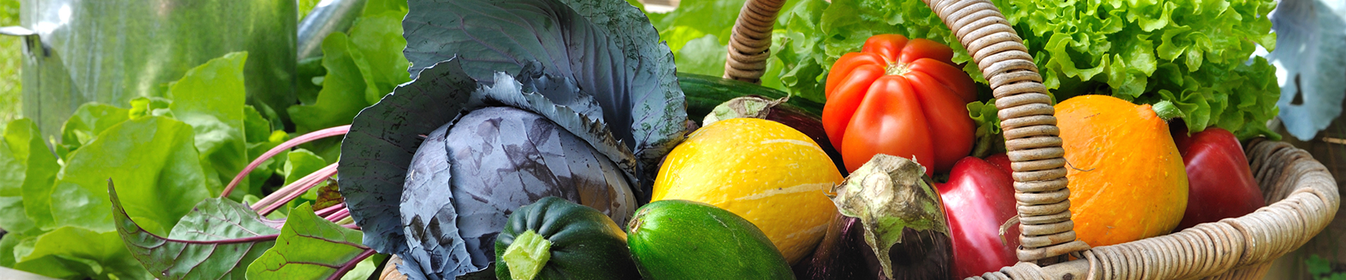 Gemüse und Selbstversorgung