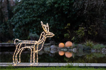 WEIHNACHTS-LICHTER-GÄRTEN WEIHNACHTS-LICHTER-GÄRTEN