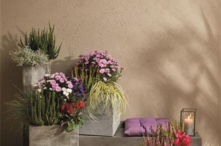 EIN KUNTERBUNTER HERBST! EIN KUNTERBUNTER HERBST!