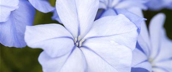 EIN KUNTERBUNTER HERBST!