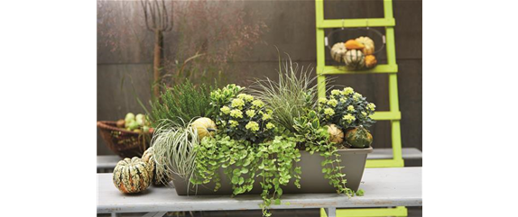 EIN KUNTERBUNTER HERBST!