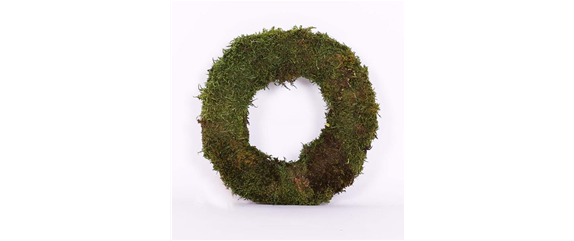 EIN KUNTERBUNTER HERBST!