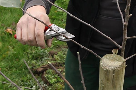 OKTOBER - JETZT GIBT ES NOCH MAL VIEL ZU TUN! OKTOBER - JETZT GIBT ES NOCH MAL VIEL ZU TUN!
