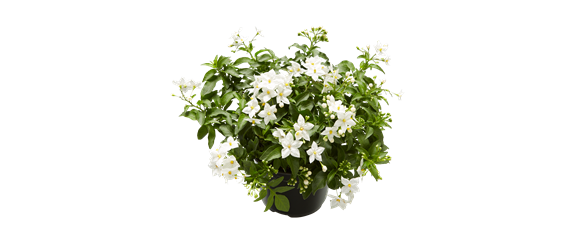 BLüHENDES MAKE OVER! 