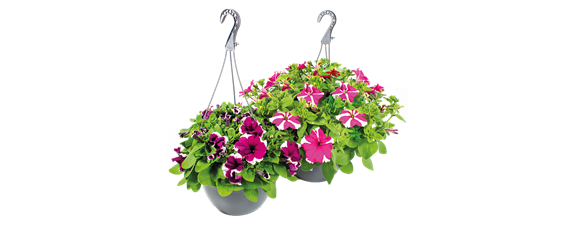 BLüHENDES MAKE OVER! 