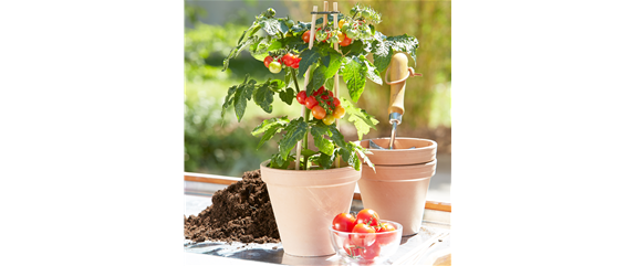 SOMMERKüCHE IM GRüNEN! 