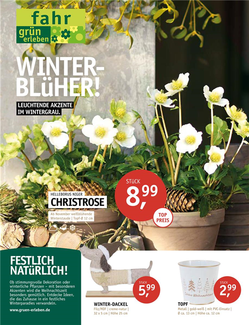 WINTERBLÜHER!