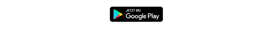 PlayStore herunterladen