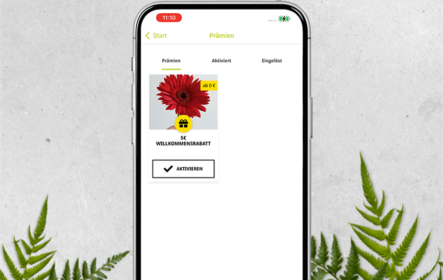 Hintergrund_Mockup_praemie.png
