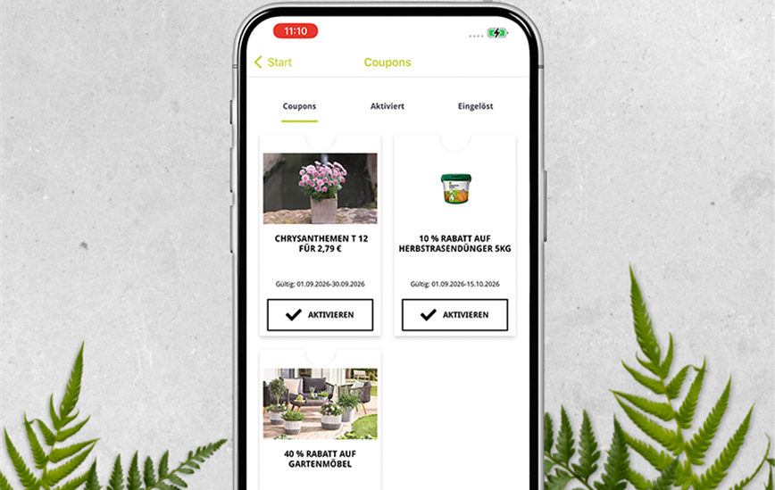 Hintergrund_Mockup_coupons.png
