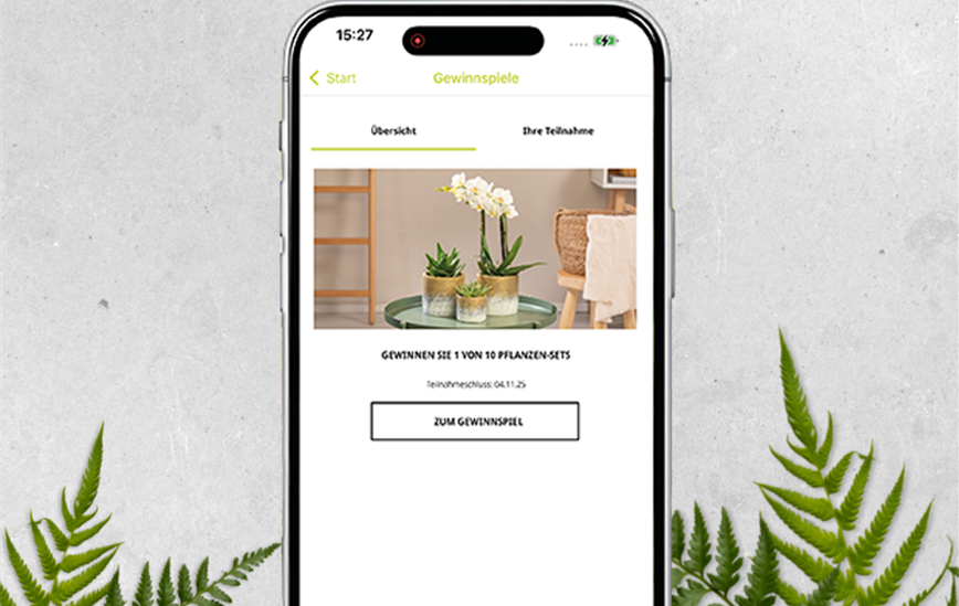 Hintergrund_Mockup_gewinnspiele.png