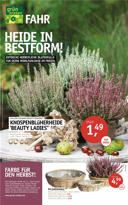 HEIDE IN BESTFORM!